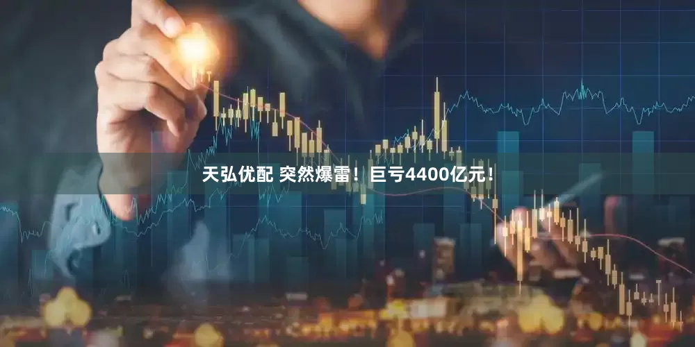 天弘优配 突然爆雷！巨亏4400亿元！