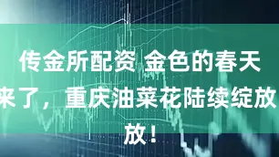 传金所配资 金色的春天来了，重庆油菜花陆续绽放！